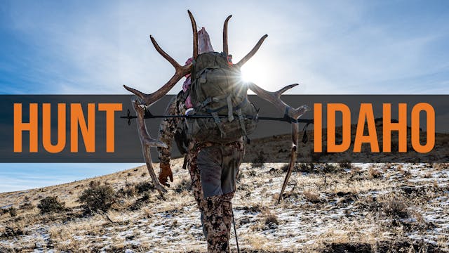 Hunt Elk, Deer & Pronghorn - Idaho Co...