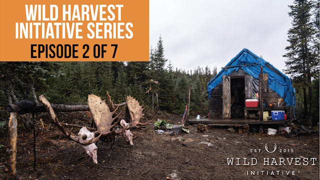 Wild Harvest Initiative Series - Epis...