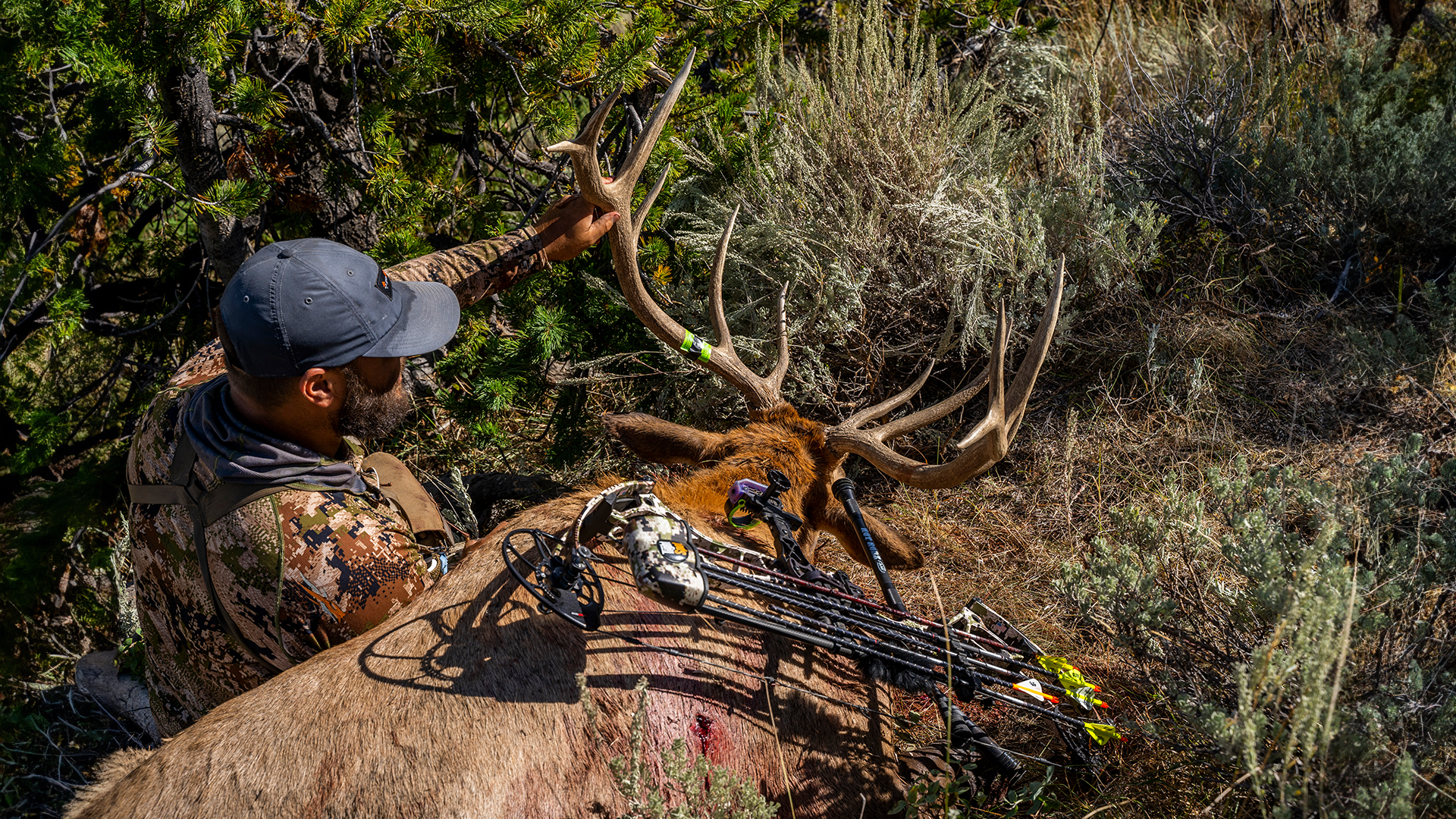 How to Find BULL ELK in September!
