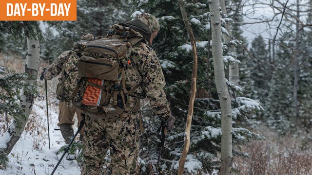 A Close Call! | ID Backcountry Elk (E...