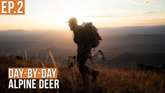 The Stalk is ON | Alpine Deer (EP.2)