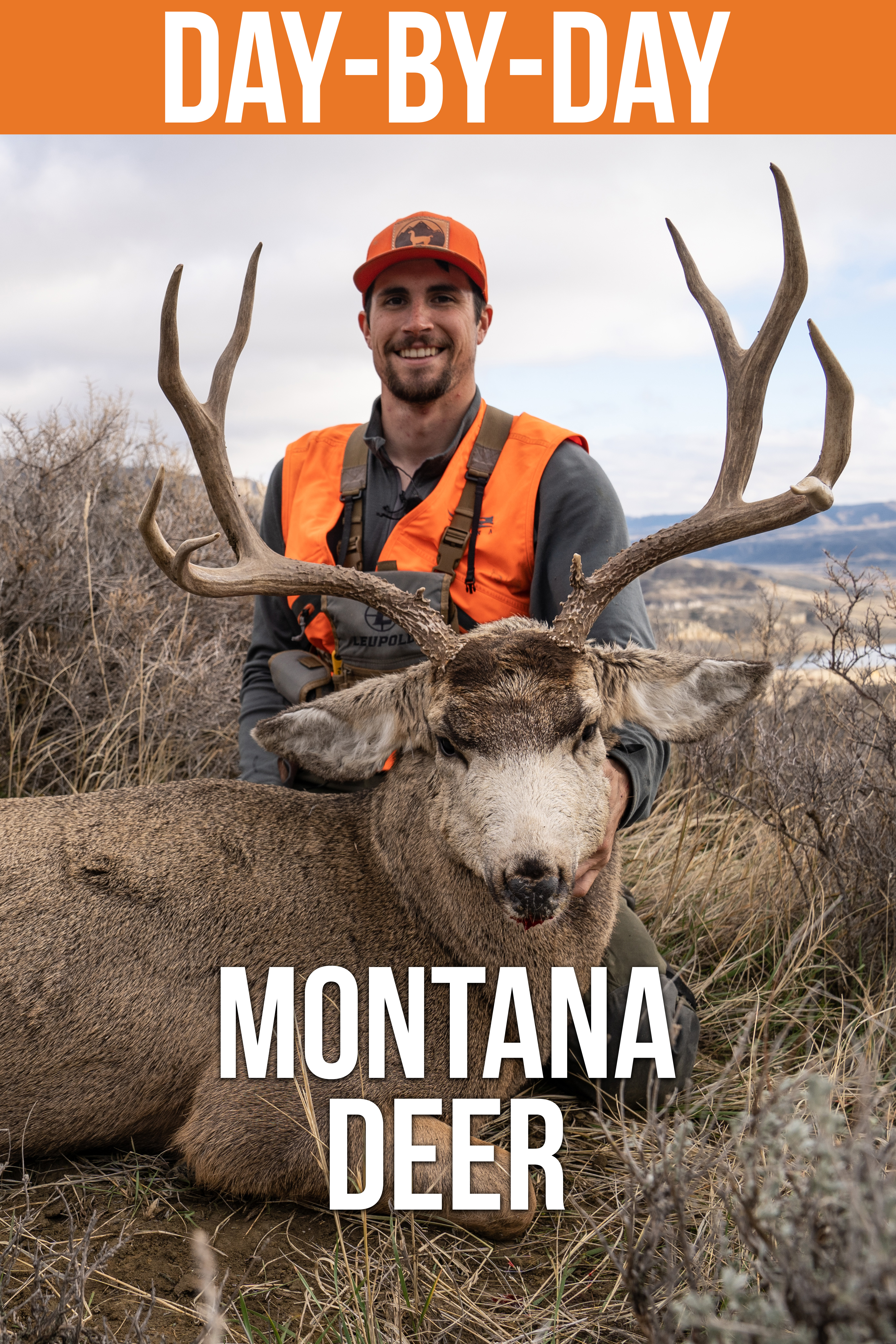 Montana Deer