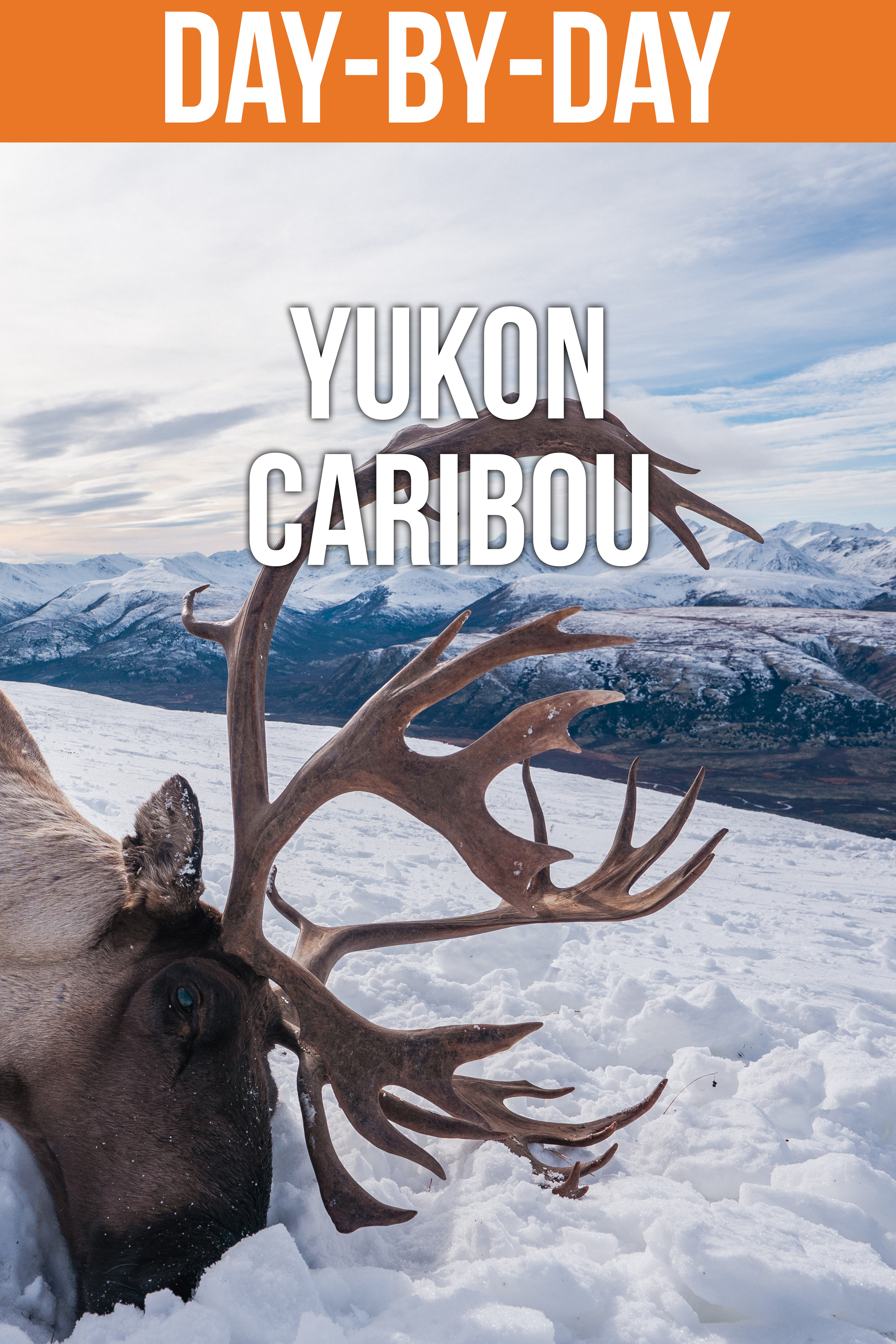 Yukon Caribou