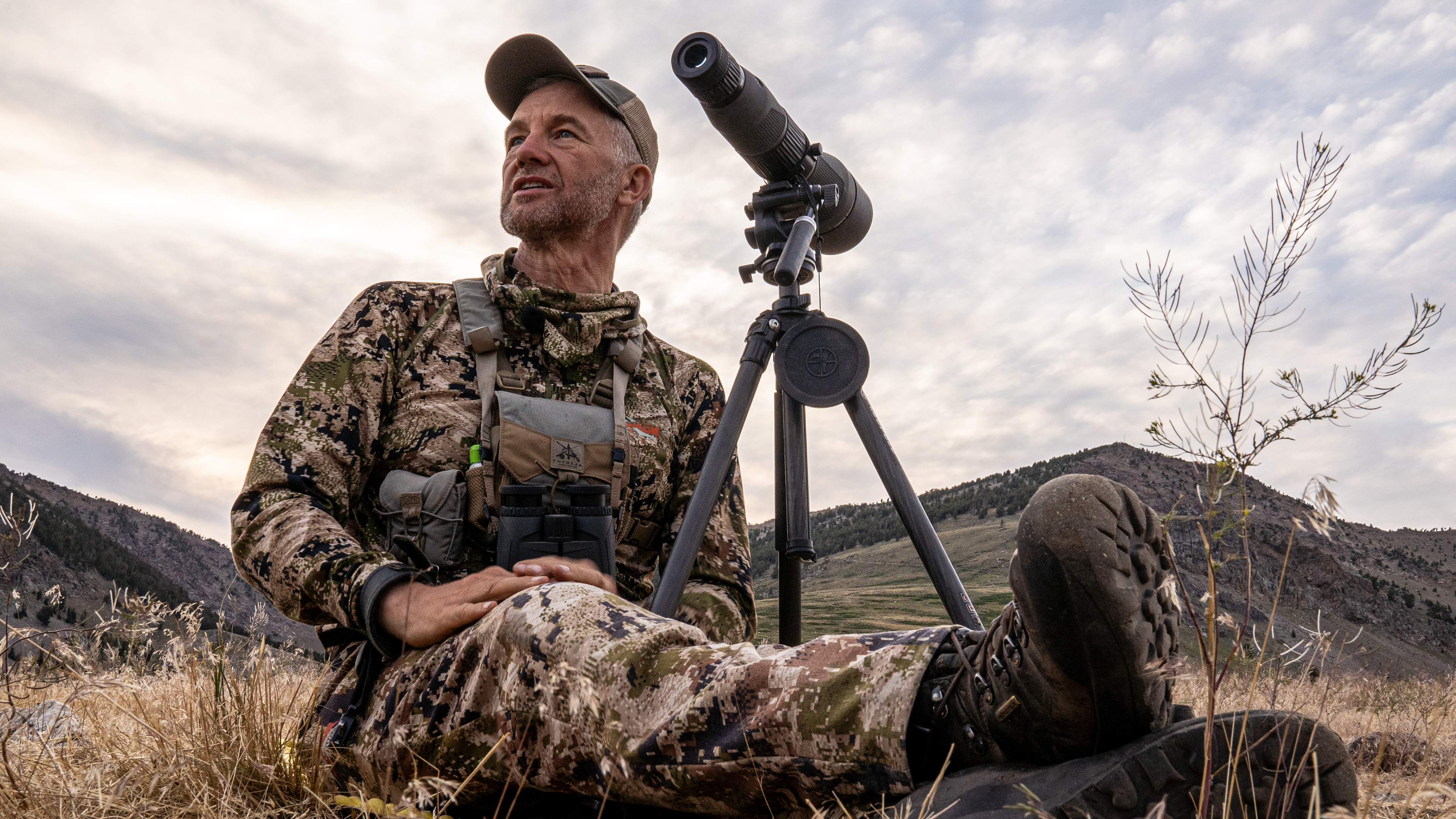 Is That an Elk or a Mule Deer?