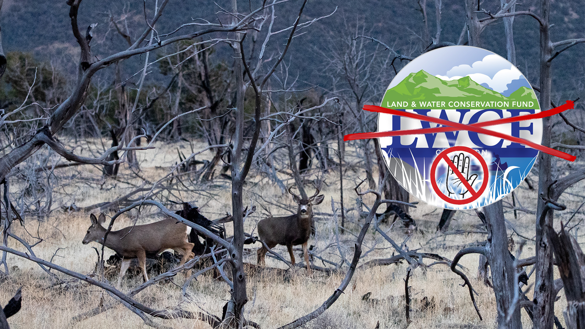 46,000 Acres of New Access Cancelled? | Fresh Tracks Weekly (Ep. 108)