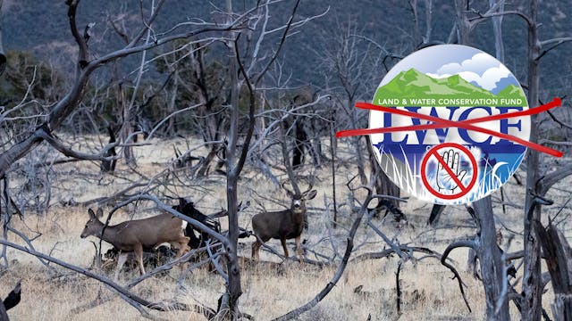 46,000 Acres of New Access Cancelled?...