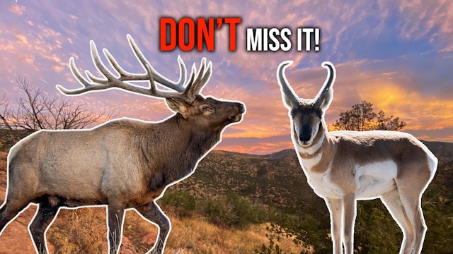 2023 Arizona Elk and Pronghorn Application Strategy 