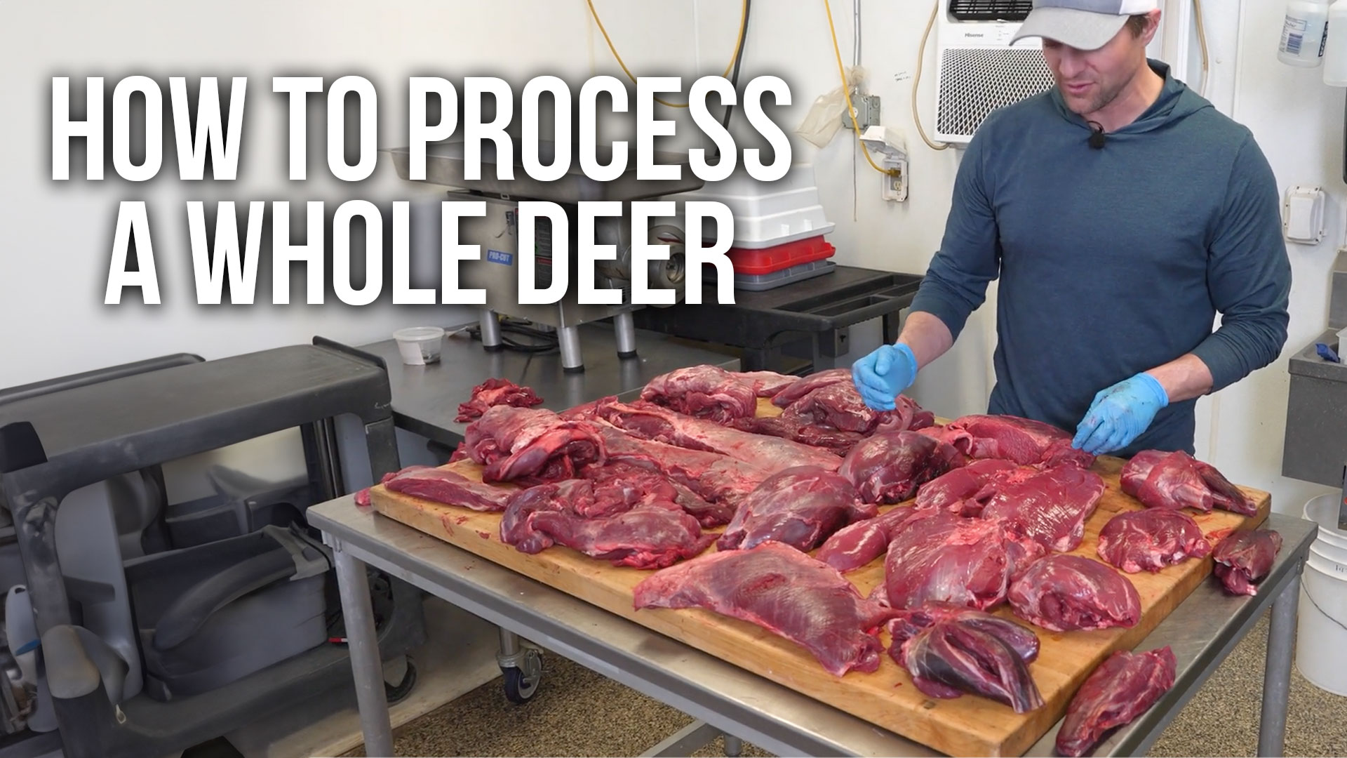 How to Process a Whole Deer