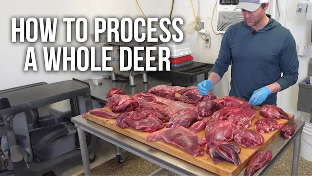 How to Process a Whole Deer