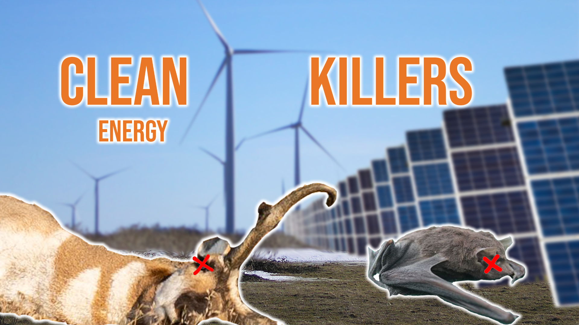 "Clean" Public Land Energy | Fresh Tracks Weekly (Ep. 29)