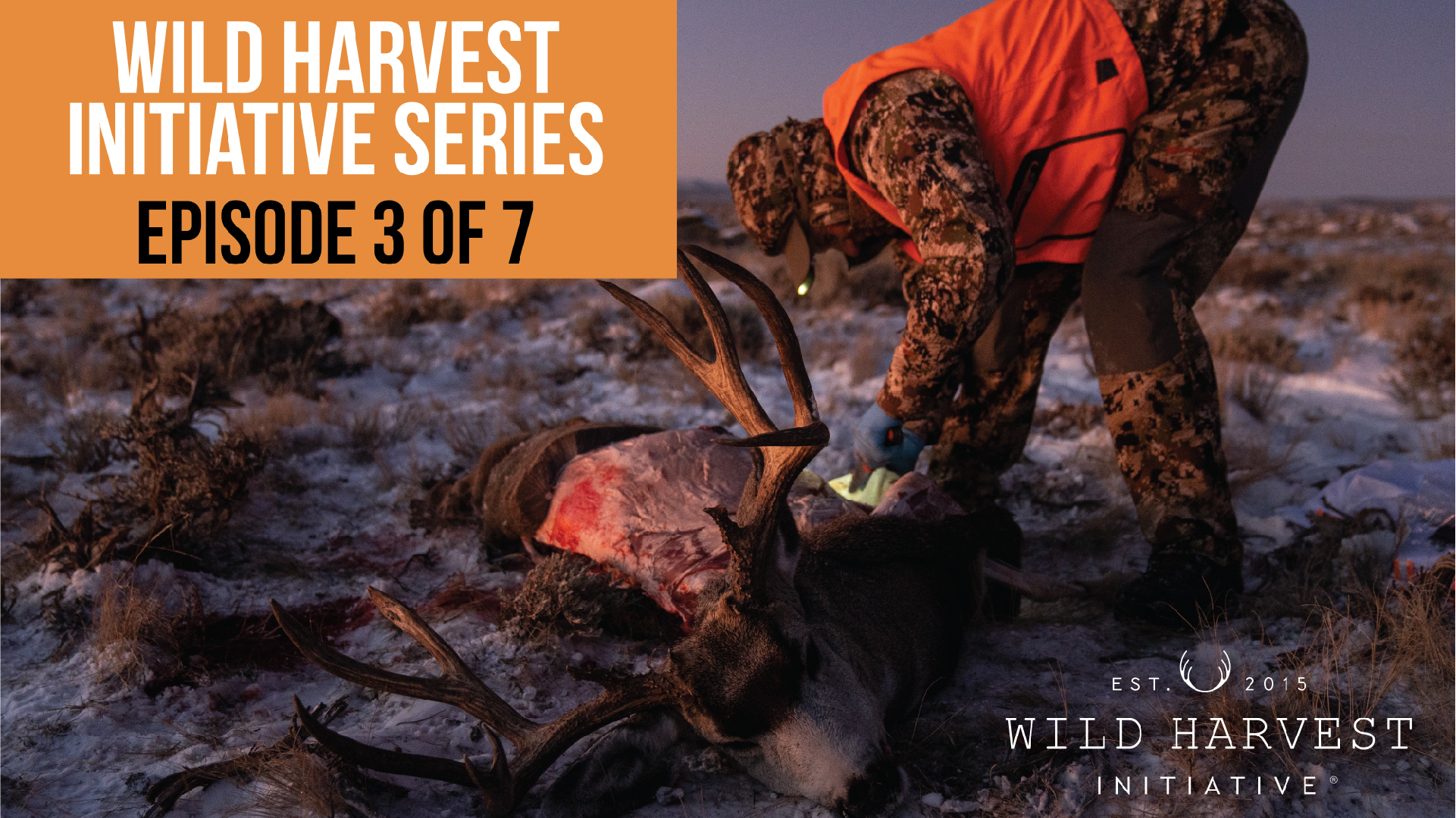 Wild Harvest Initiative Series - Episode 3 of 7