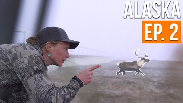 SURROUNDED BY CARIBOU | Alaska Moose ...