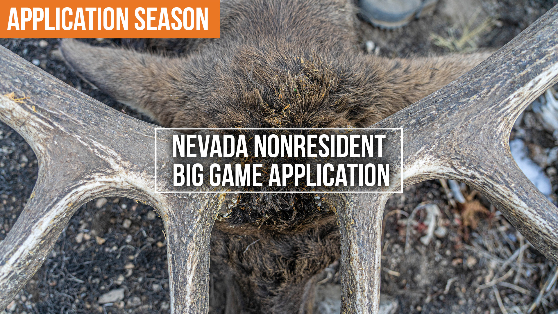 How to Apply for Big Game Hunts in Nevada | Nonresident Application Tips
