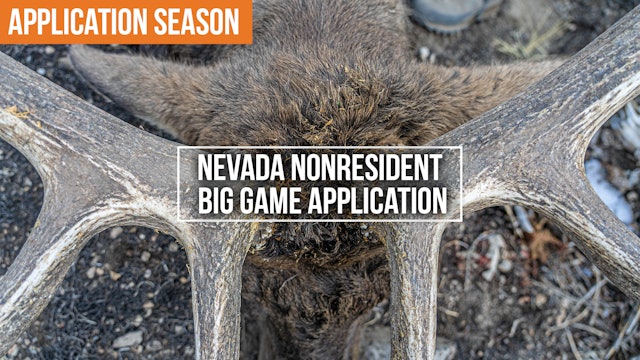 How to Apply for Big Game Hunts in Nevada | Nonresident Application Tips