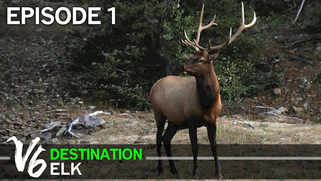 Premiere Episode! Episode 1 (Destination Elk V6)