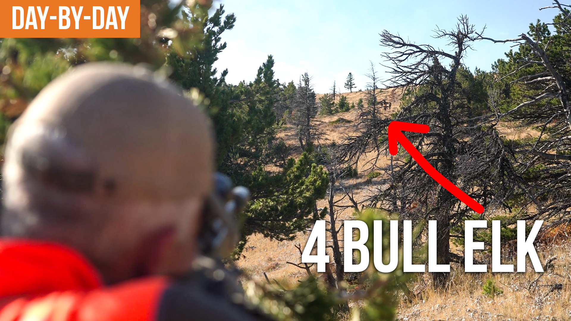 I May Regret That.... | Montana Elk Day-by-Day (EP.1)