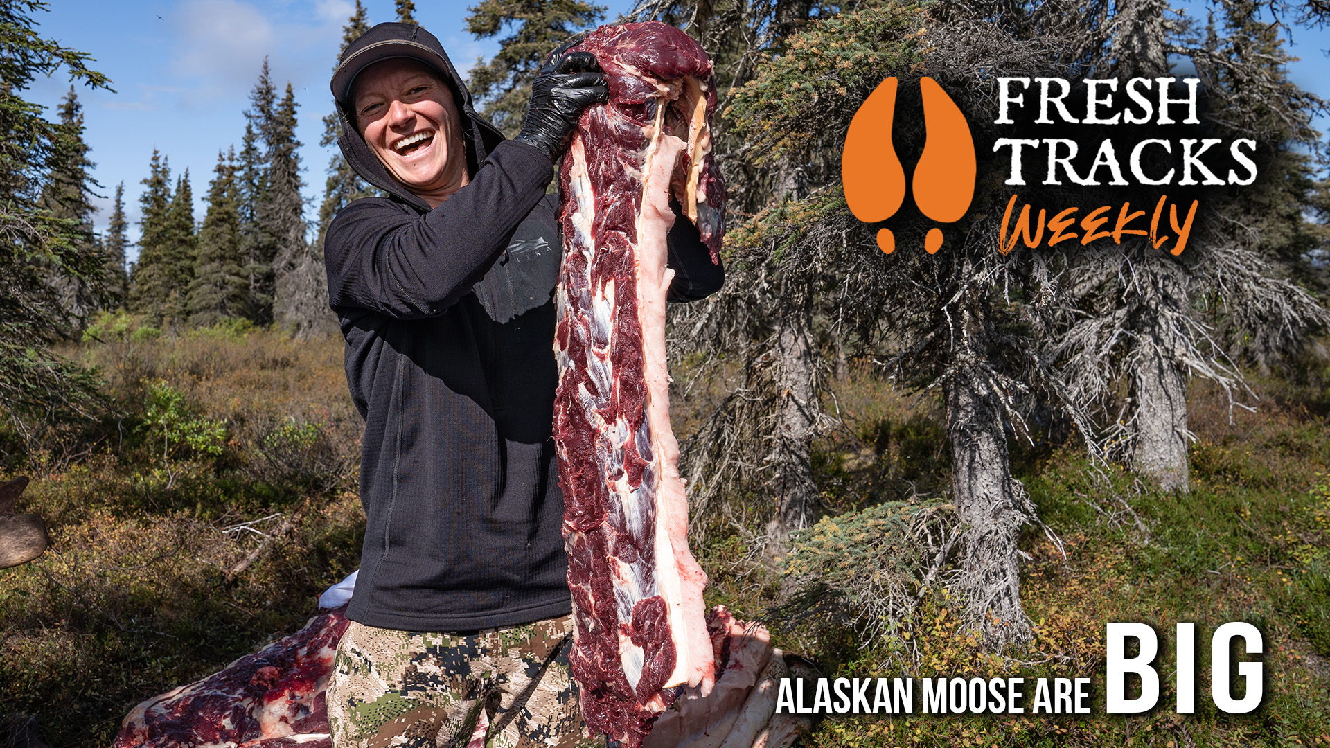 Funding for Hunter Ed, Winchester Dam and Moose! | Fresh Tracks Weekly (Ep. 54)