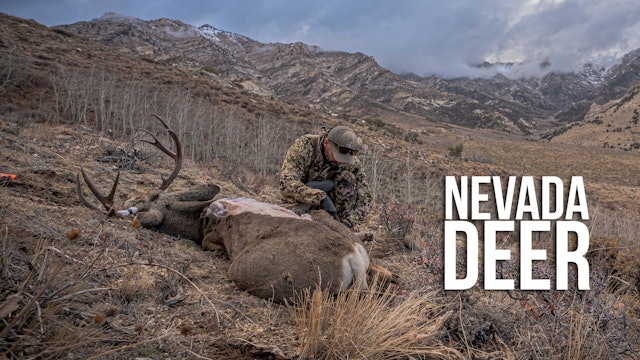 Leftover Nevada Deer