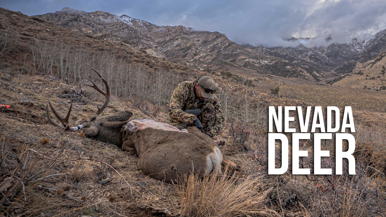 Leftover Nevada Deer