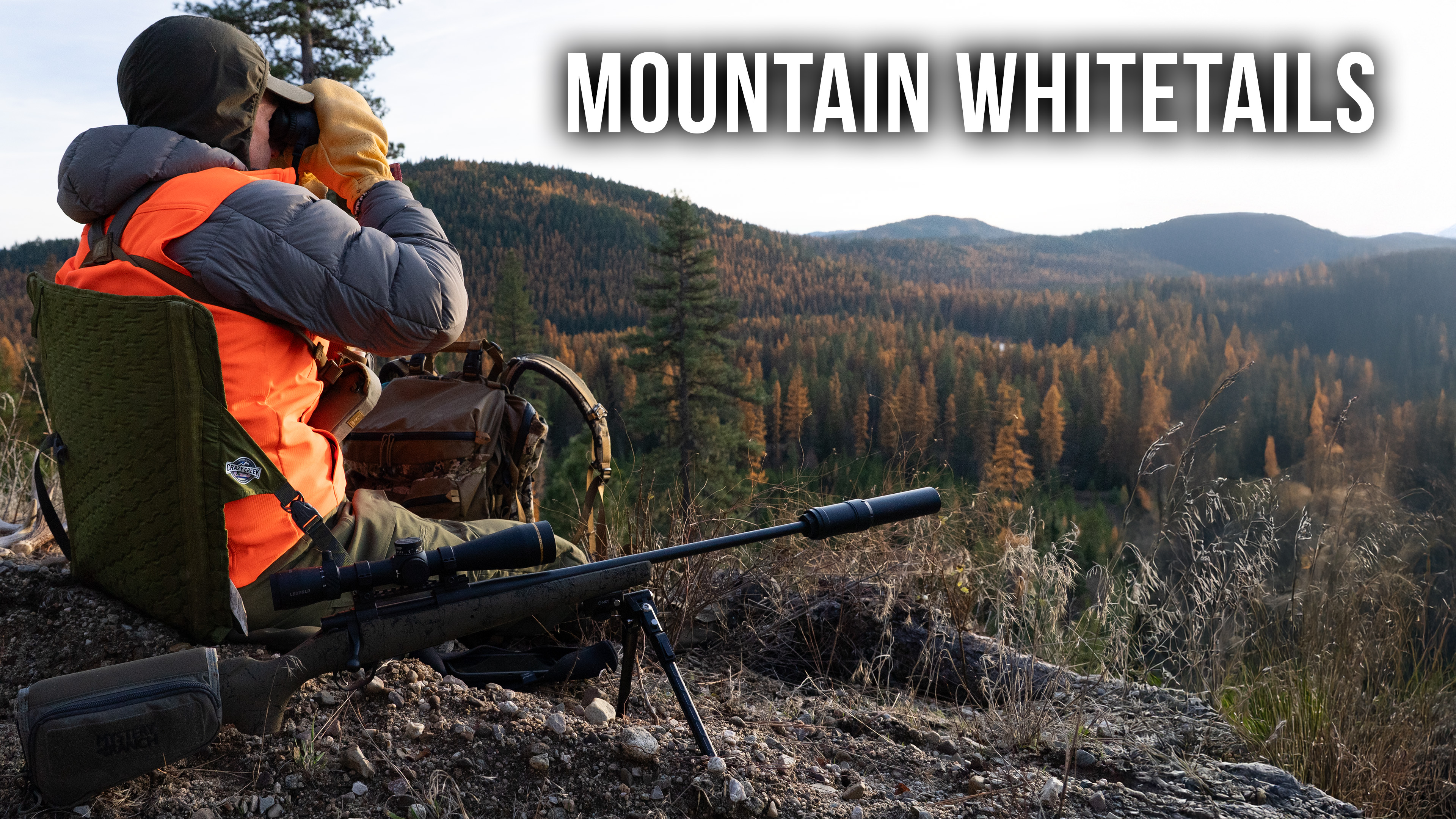 Mountain Whitetails
