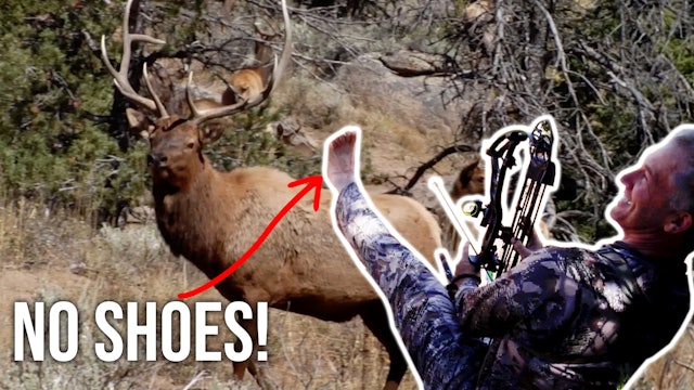 Randy's Dumbest Elk Hunting Mistakes 