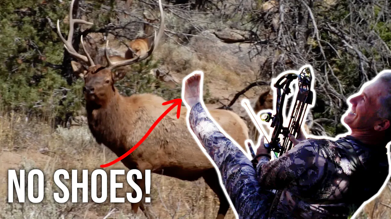 Randy S Dumbest Elk Hunting Mistakes Fresh Tracks