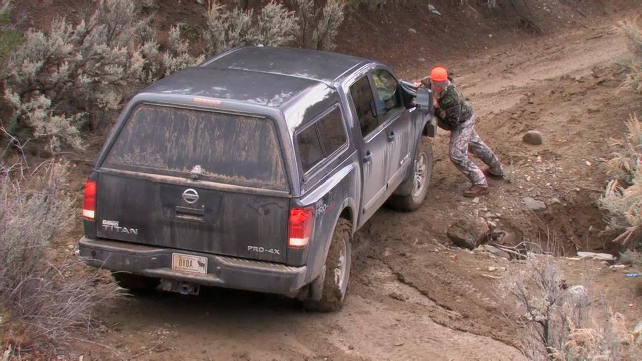 On Your Own Adventures: Season 3, Episode 4 - Colorado Elk