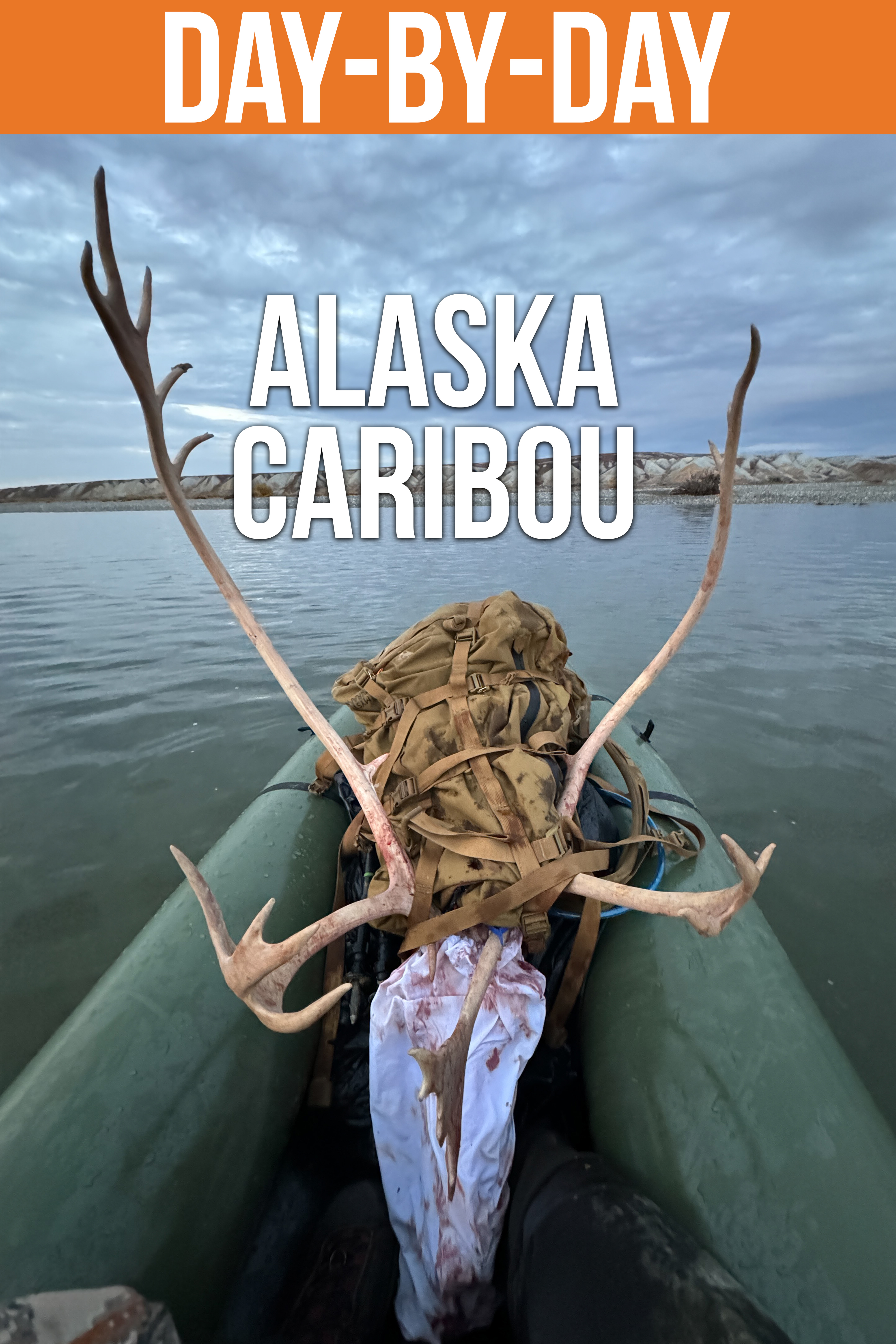 Alaska Caribou | THE BOU BUS!