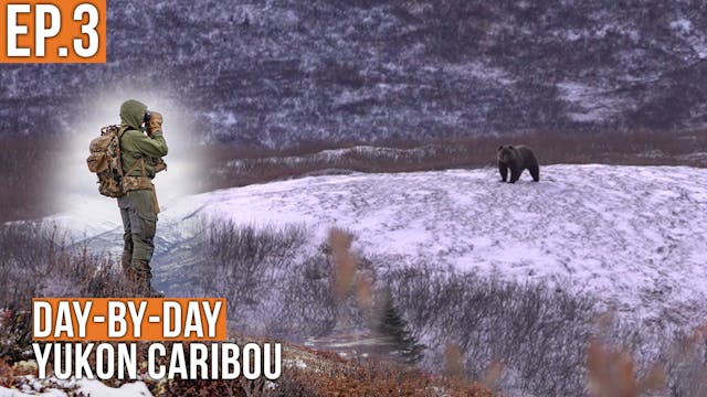 Stalking a GIANT Grizzly Bear | Yukon...