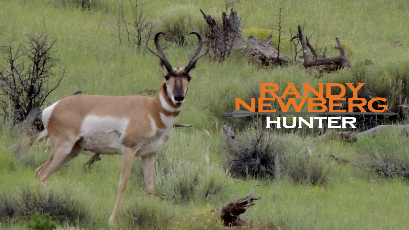 New Mexico Archery Hunt - Pronghorn and Puppy