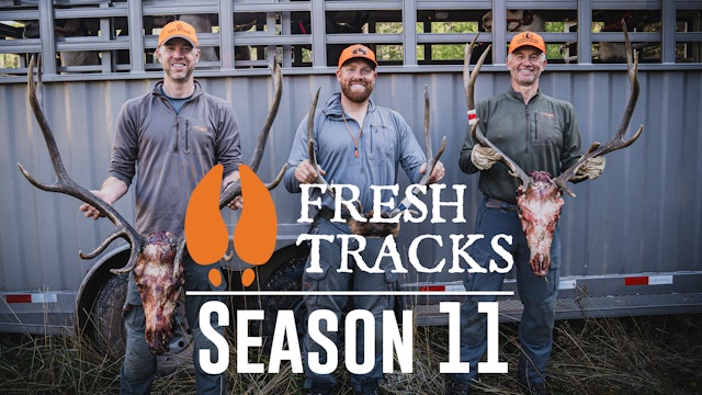 Fresh Tracks - Season 11