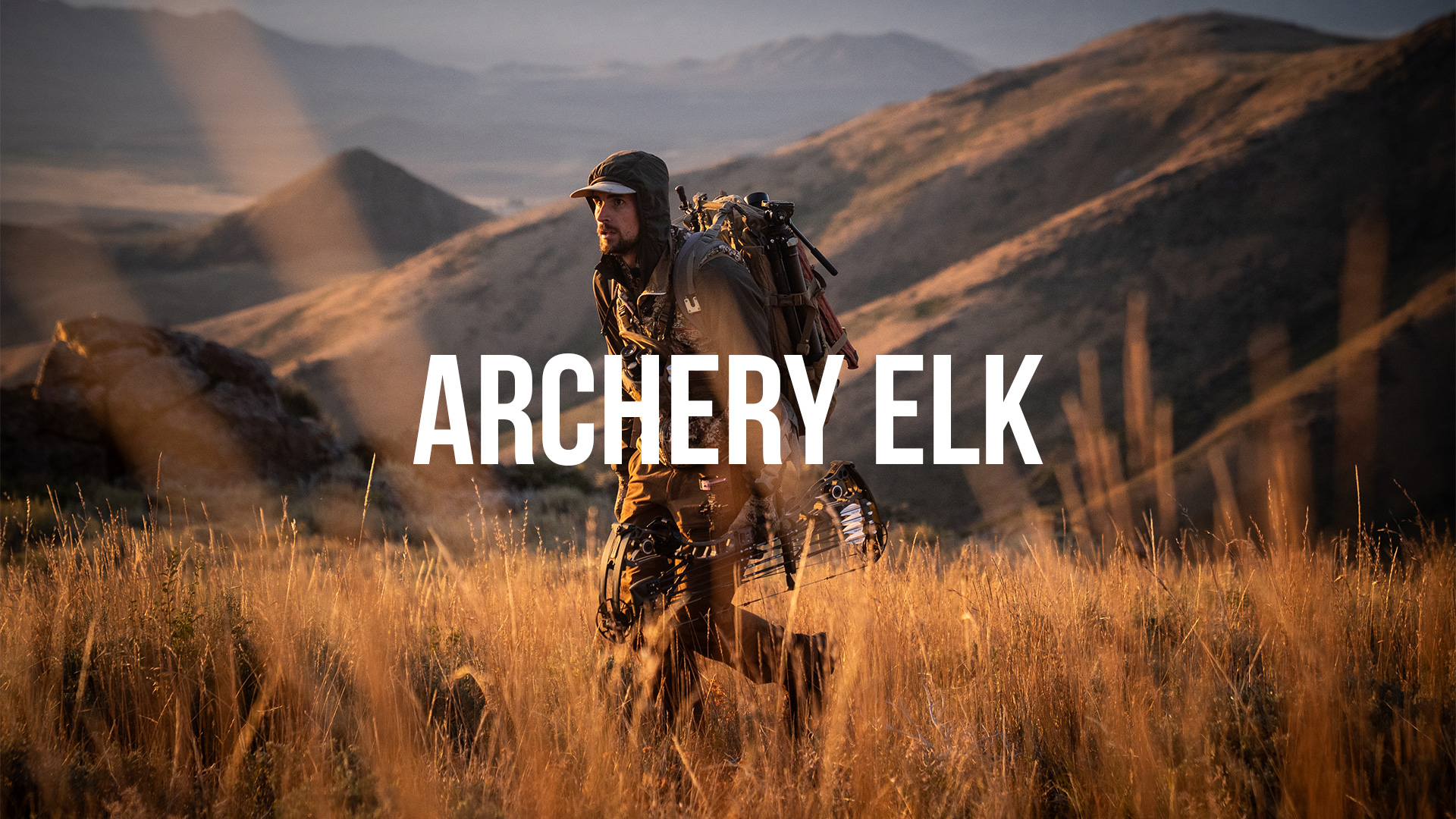 Jace's Archery Elk