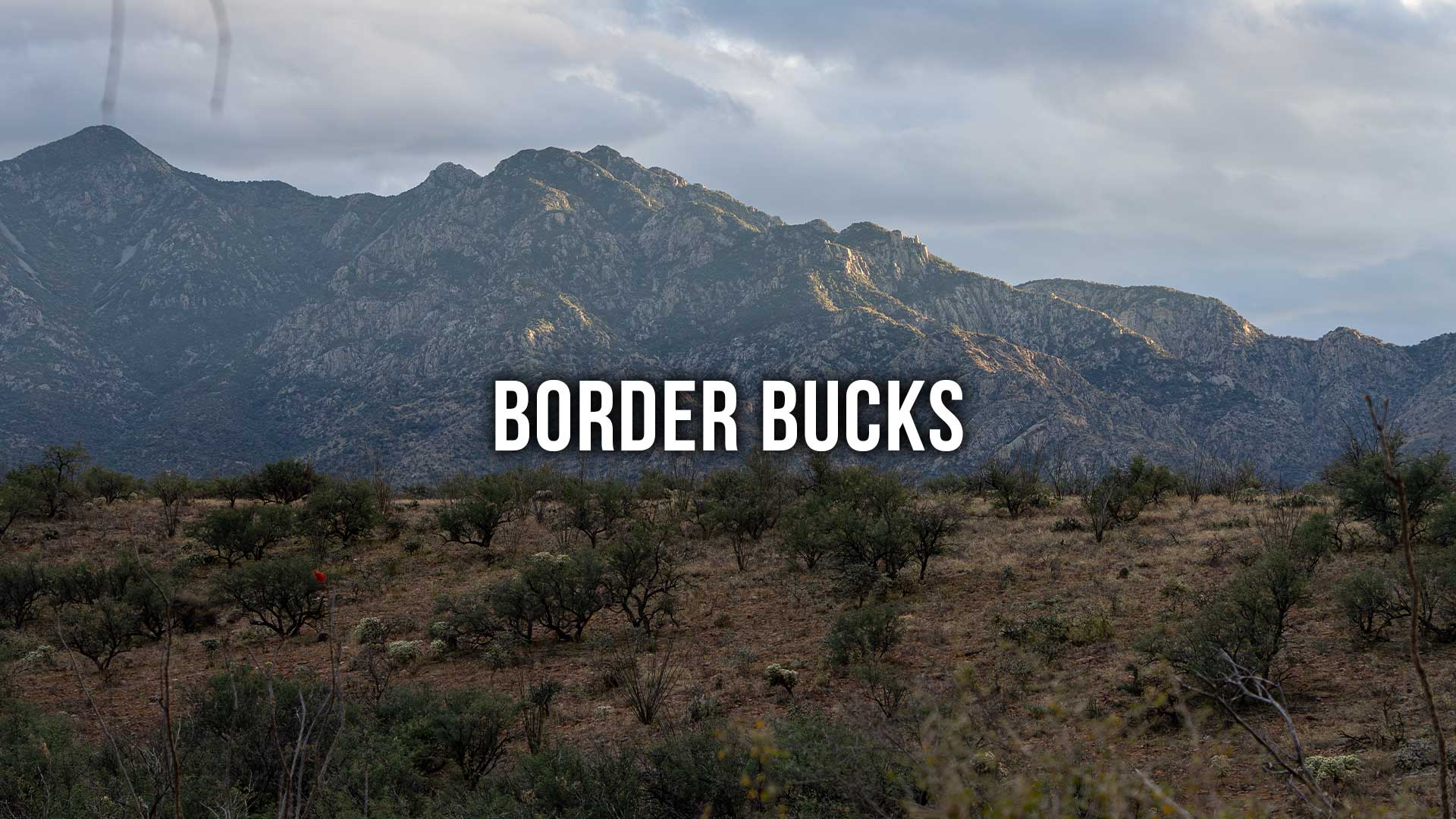 Border Bucks