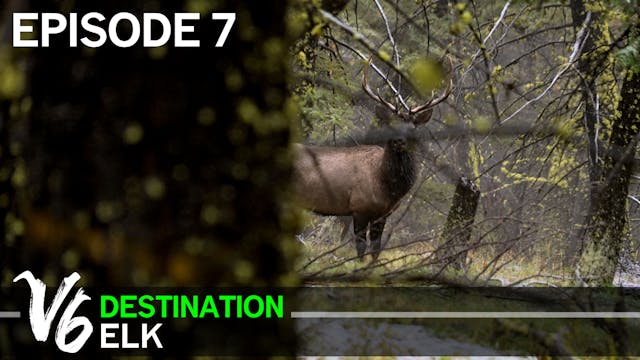 The Perfect Storm - Episode 7 (Destination Elk V6)
