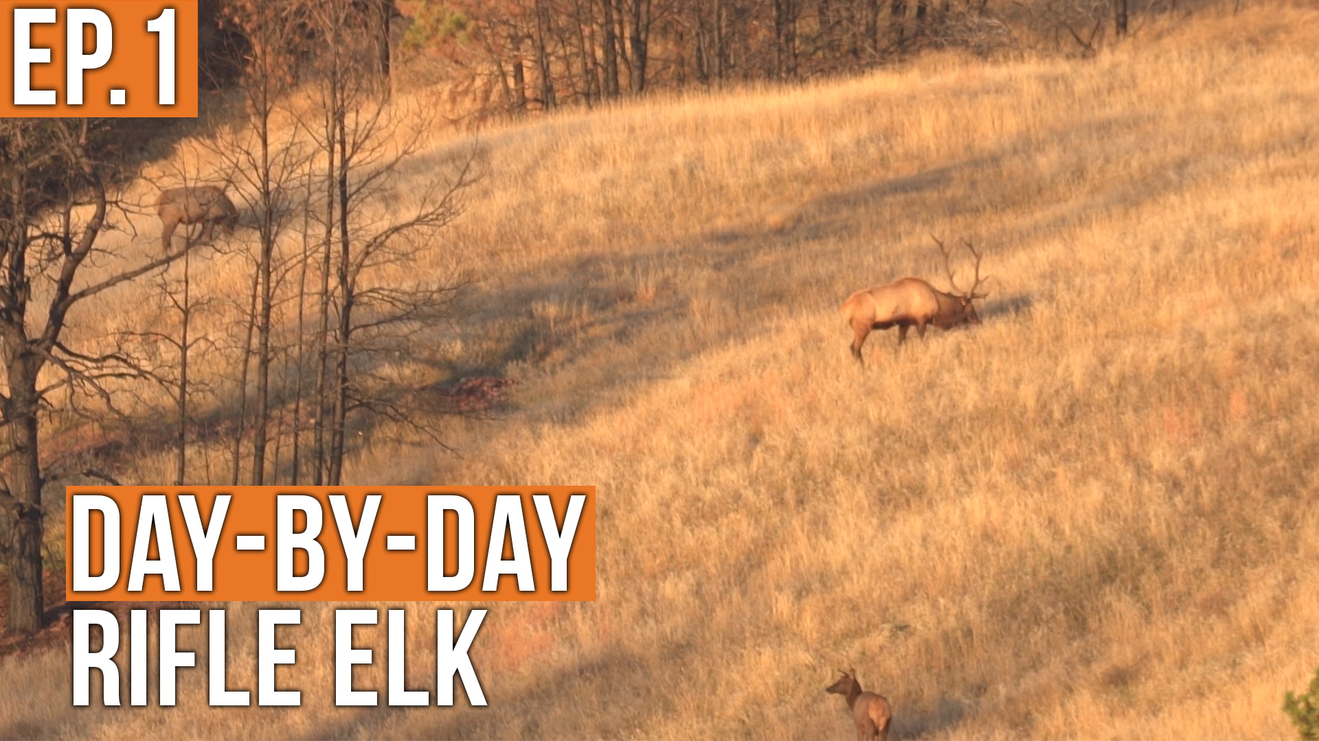 It's GO TIME | Prairie Elk (EP.1)