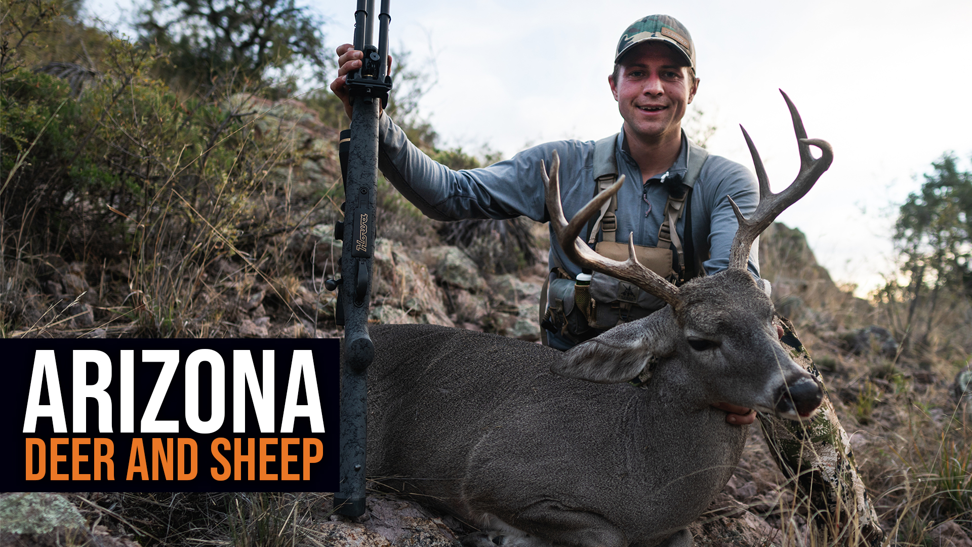 2022 Arizona Deer & Sheep Application Strategy 