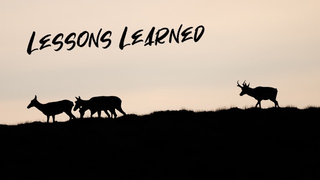 Lessons Learned | Wyoming Pronghorn 