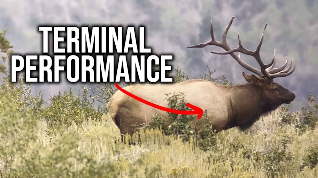 Terminal Performance = Lethality | Bulls, Bullets and Ballistics with NOSLER 