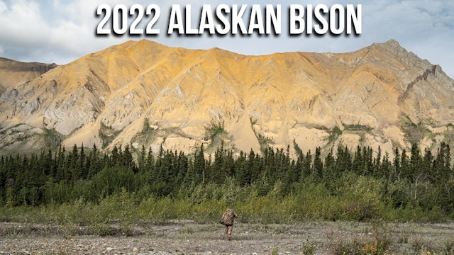 2022 Alaskan Bison with Jim Baichtal - Day By Day Hunts