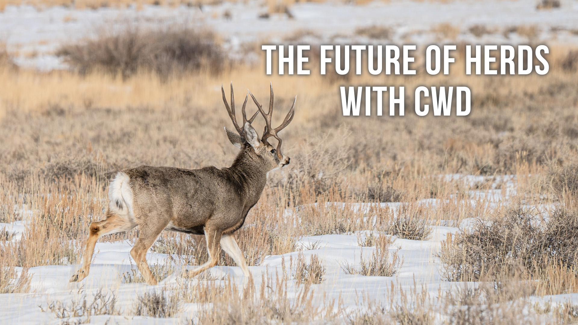 Follow the Science... Unless You Don't Like It | Fresh Tracks Weekly (Ep. 79)