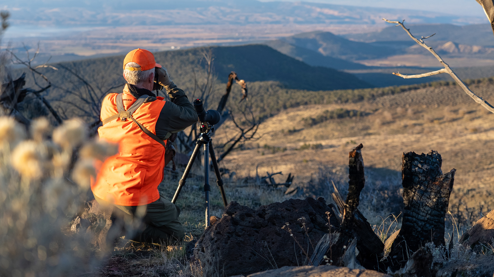 Why These Small Parcels Matter | Late Season Deer