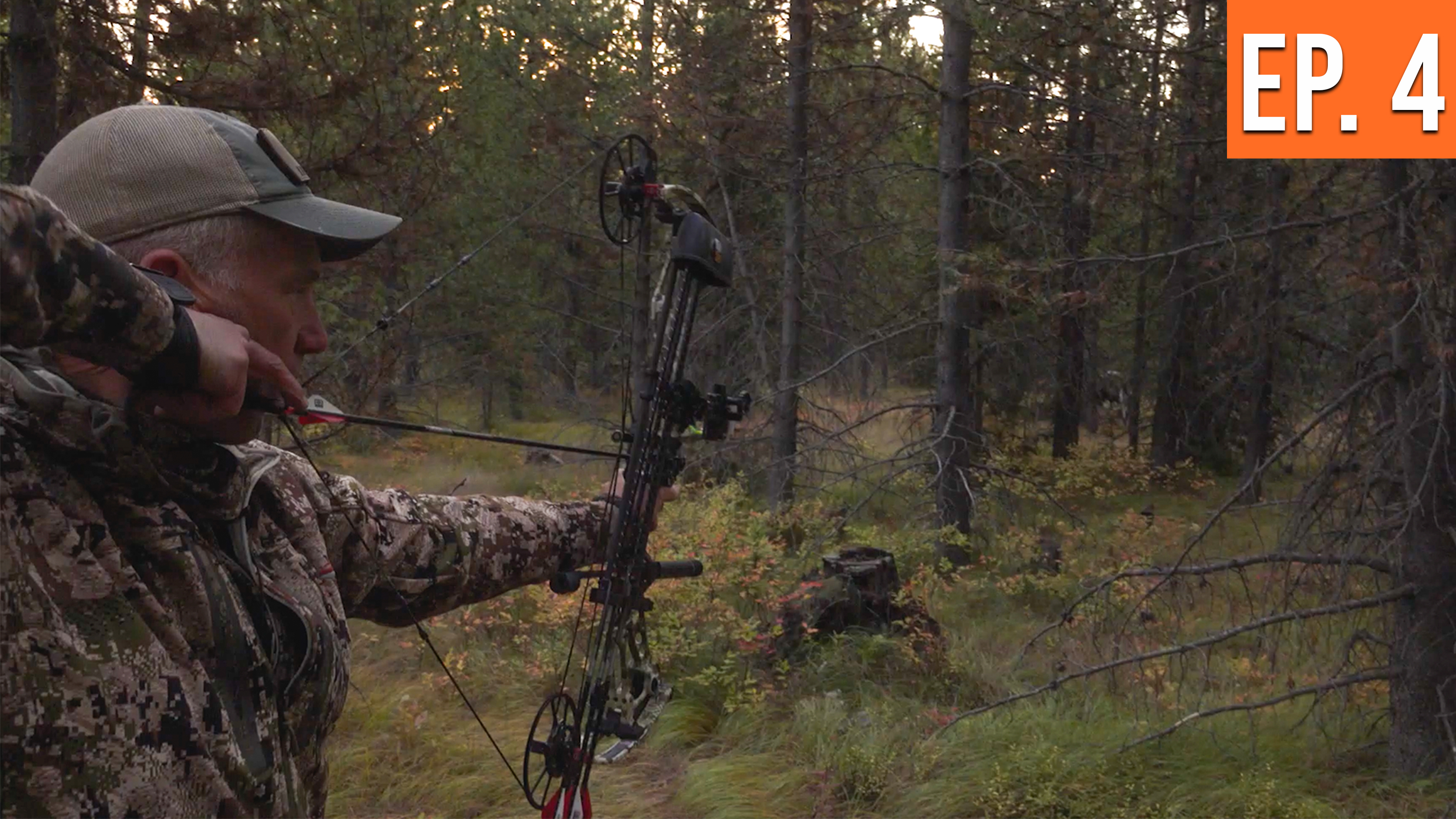 I Got Distracted! | Montana Archery Elk (EP. 4)