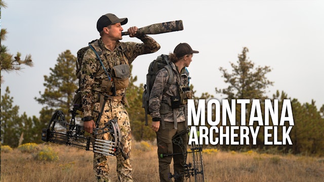 Montana Archery Elk with Marcus & Kara