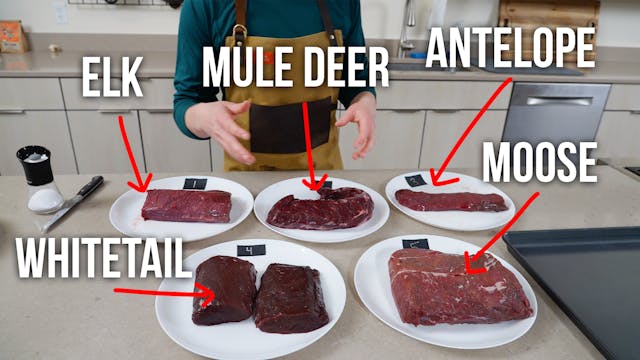 Wild Game Blind Taste Test!