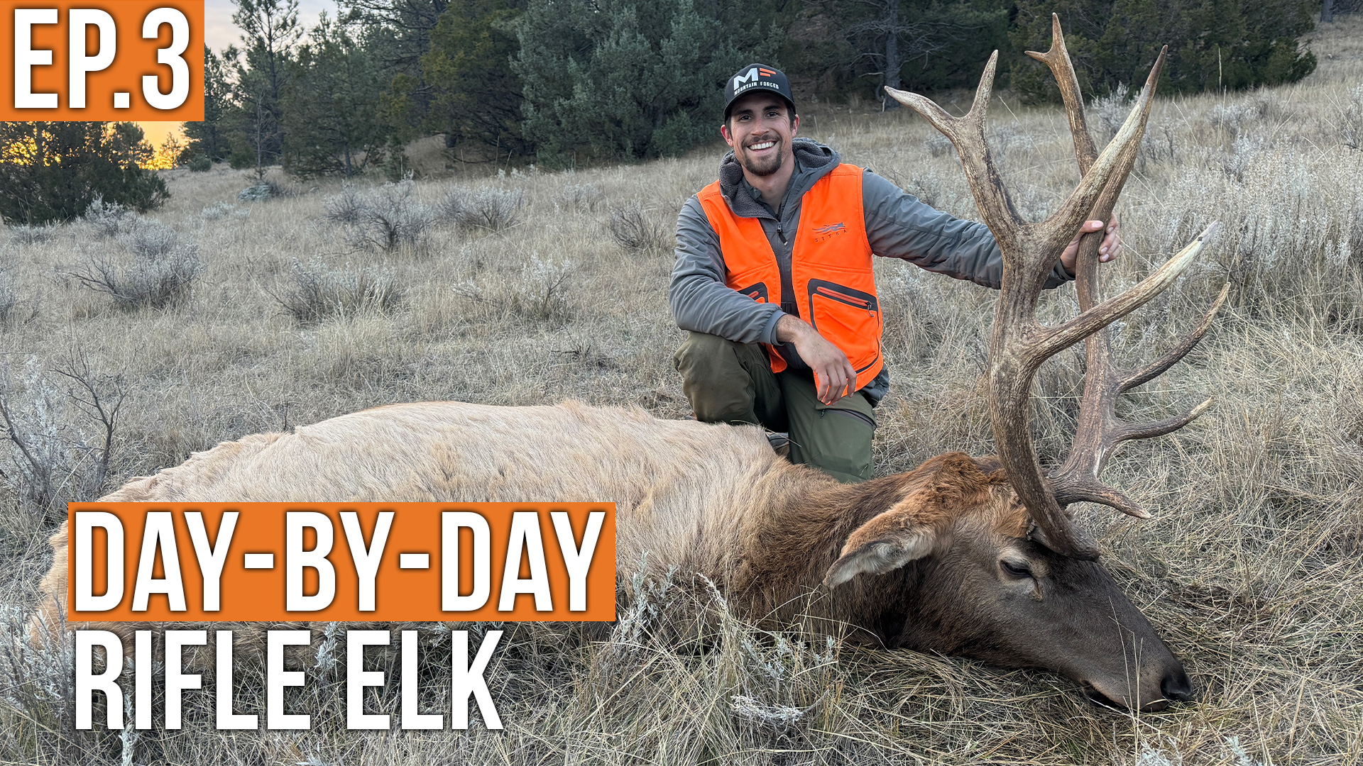 What a Week! | Prairie Elk (Ep.3)