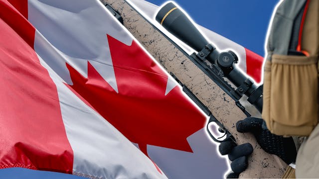 Crossing the Border With Hunting Rifles