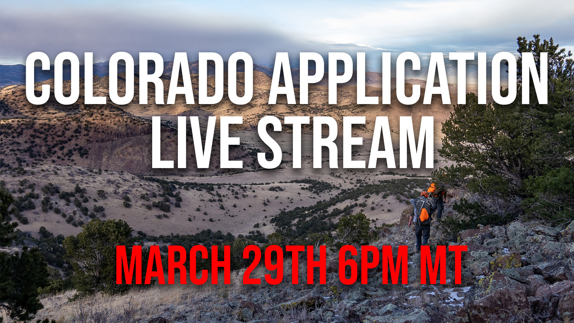 Colorado Application Live Stream