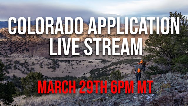 Colorado Application Live Stream