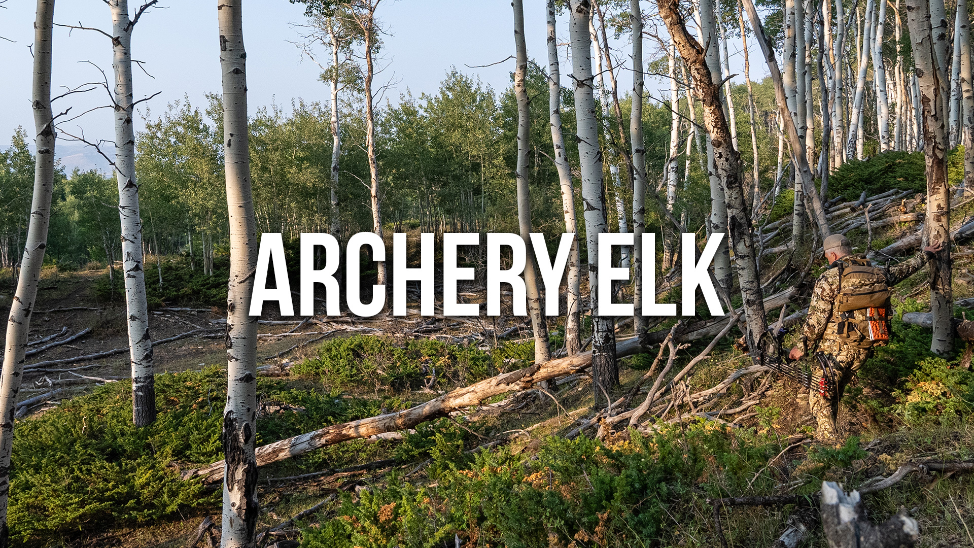 2025 Archery Elk