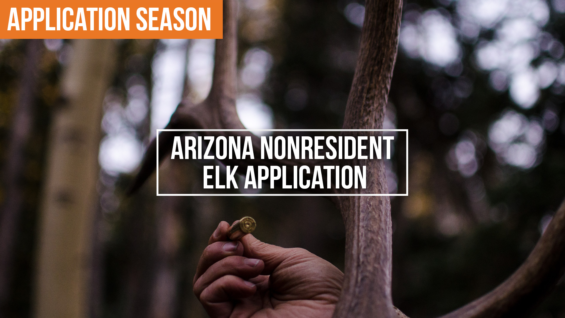 How to Apply for Arizona Elk & Pronghorn Hunts in 2025!